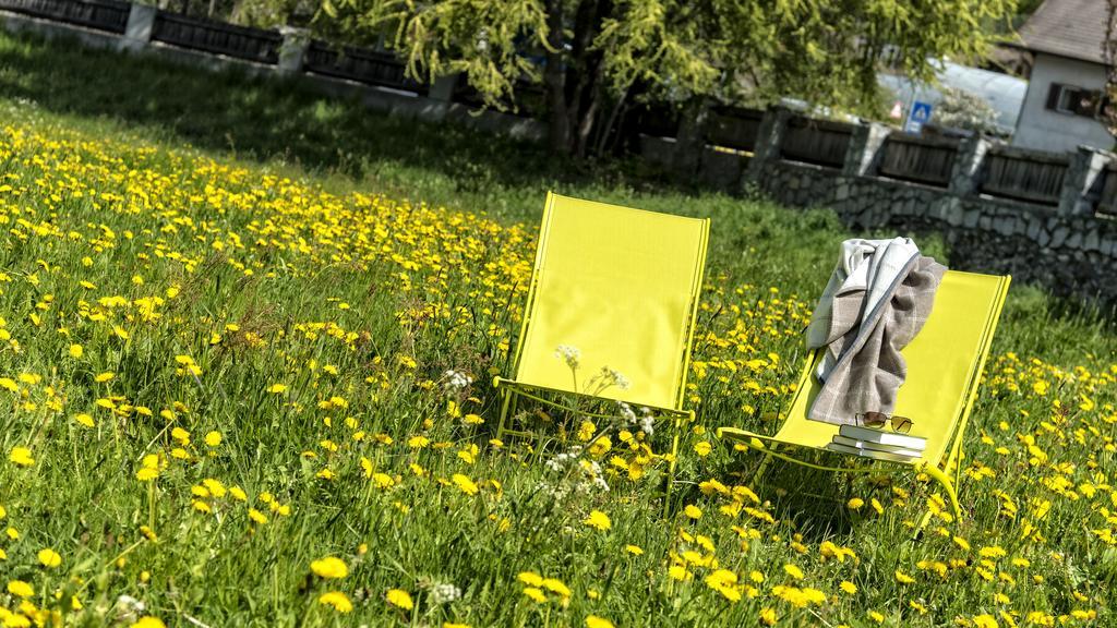 לינה וארוחת בוקר ברוניקו Niedermairhof מראה חיצוני תמונה